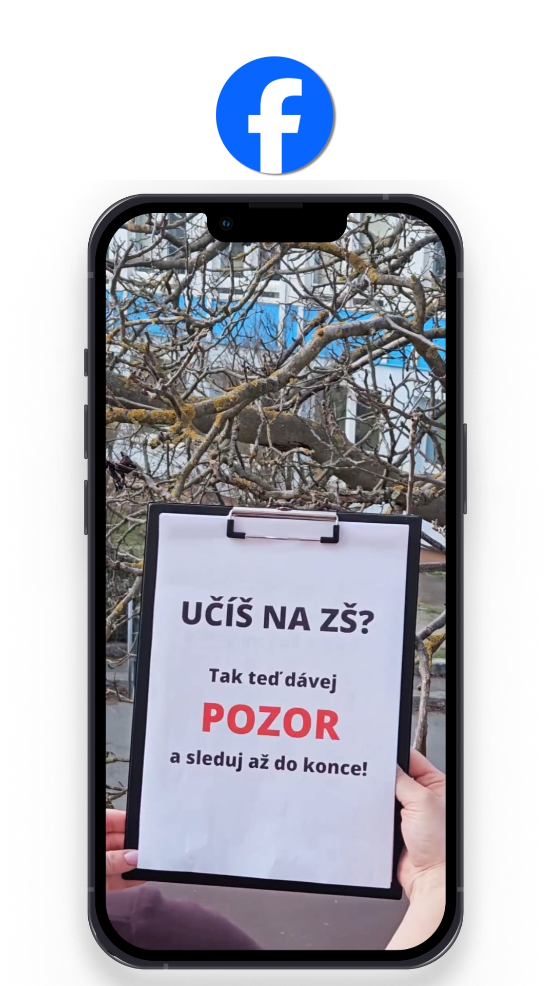 COVER reels TESTÍK (12)